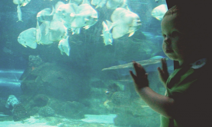 Beijing Aquarium