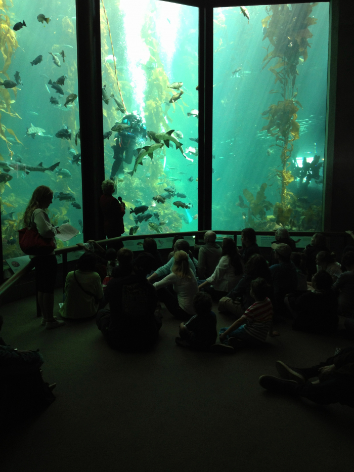 Monterey Bay Aquarium